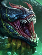 Head of Decay