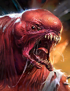Vildrax